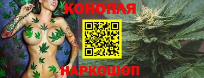 стафф Коммунар